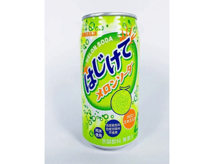 SANGARIA MELON SODA Напиток газированный содовый дыня, банка 250 гр
